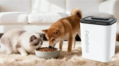 Guarding Your Pet’s Food Against the Humidity of the Plum Rain Season
